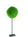 Single Ball Moss Topiary 18 inch tall